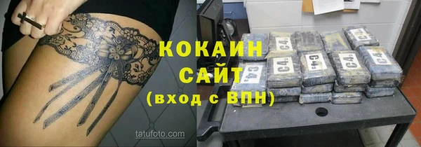 винт Абаза