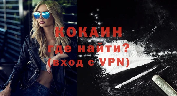 винт Абаза