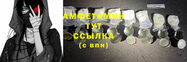 винт Абаза