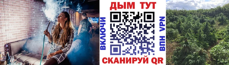 Марихуана план  Апрелевка 